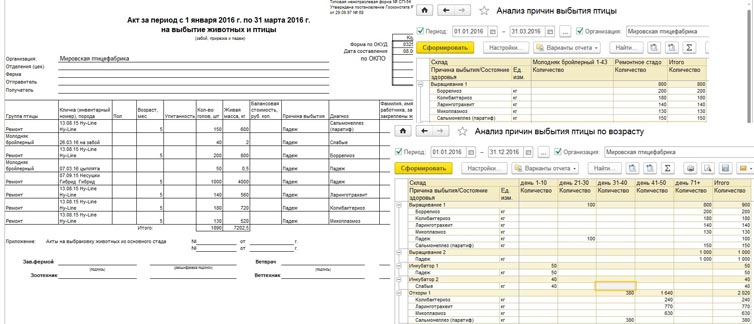 Акт за период